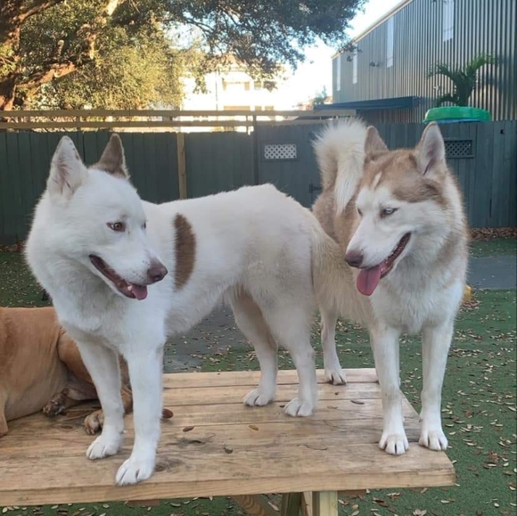 ❤ My Baby Girls ❤ - Picture 2 of 12